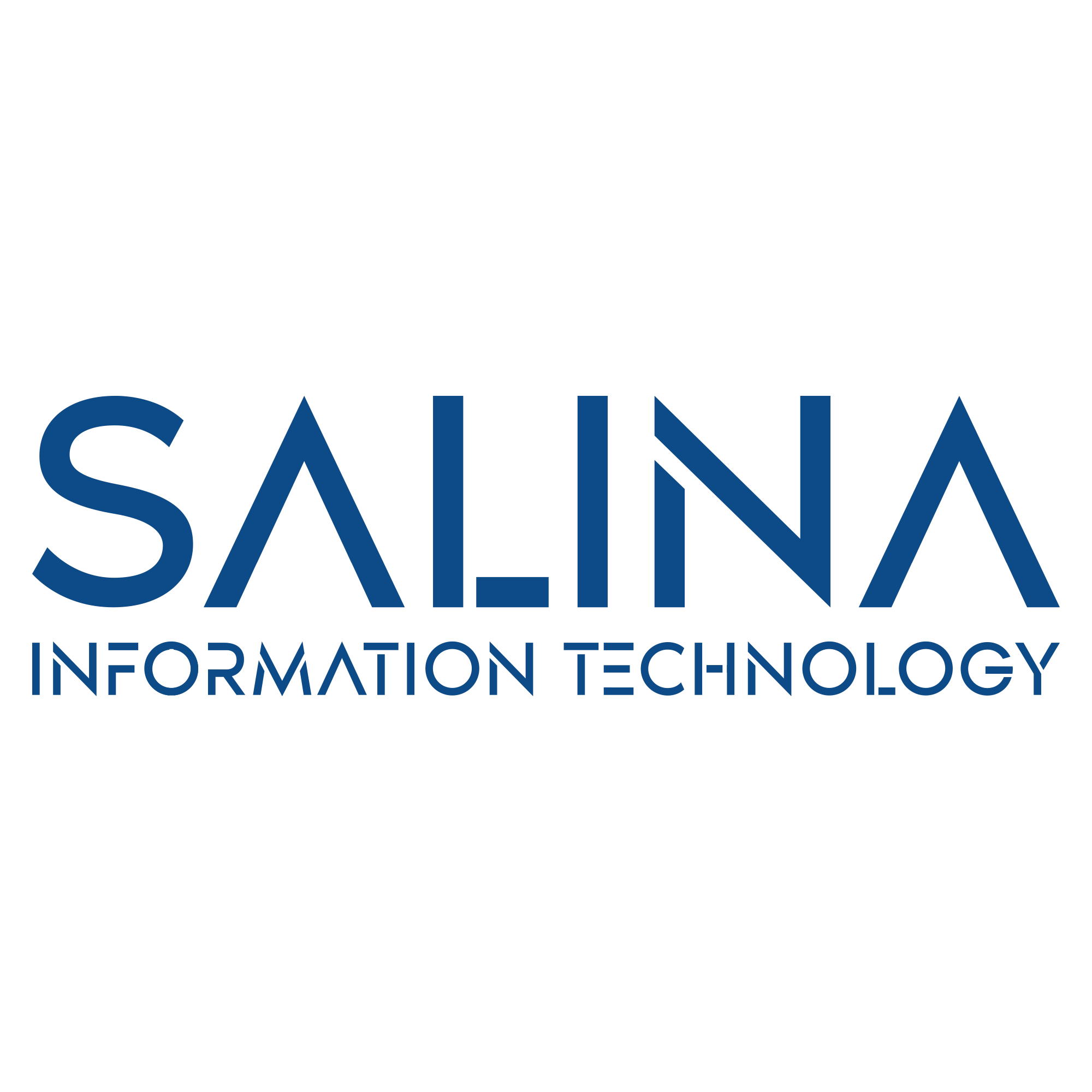 Salina Information Technology